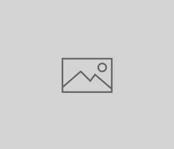Portfolio Gallery